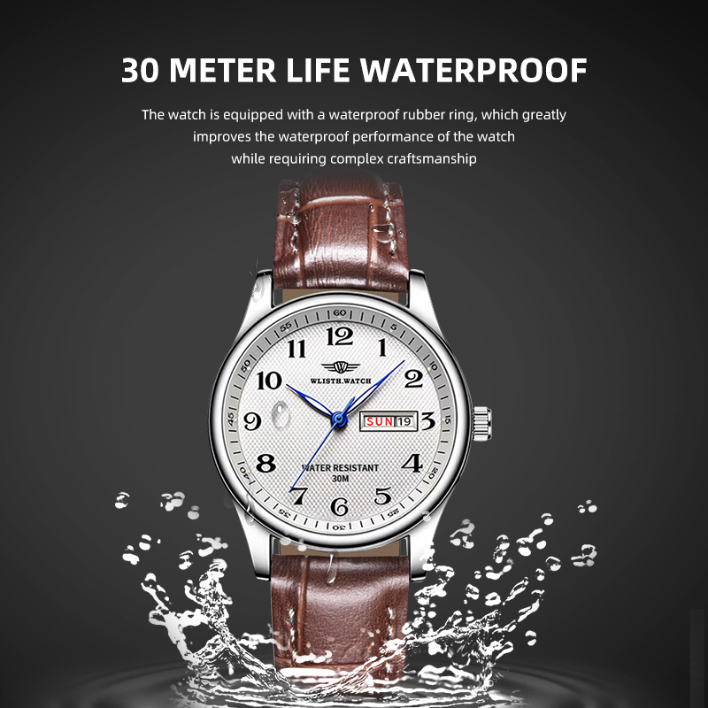 WLISTH Luxury Brand Men's Watc - Luxury Watch Audemars Piguet 评论和价格