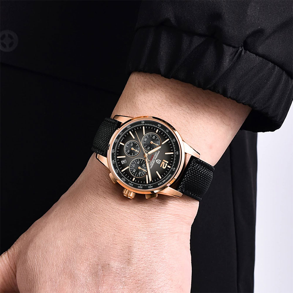 PAGANI DESIGN New Mens Watch 4 - Luxury Watch Logos 评论和价格