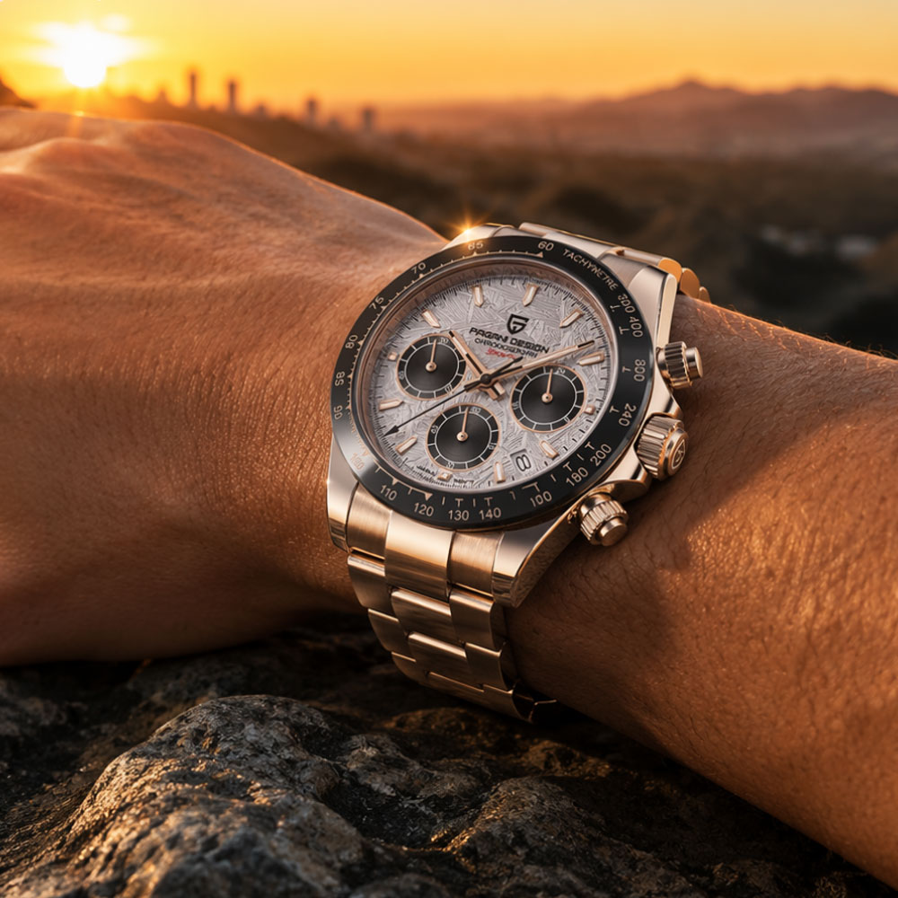 Top Brand PAGANI DESIGN Luxury - Luxury Watch Logos 评论和价格
